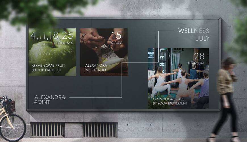 乌马河区画册设计公司如何进行品牌审核